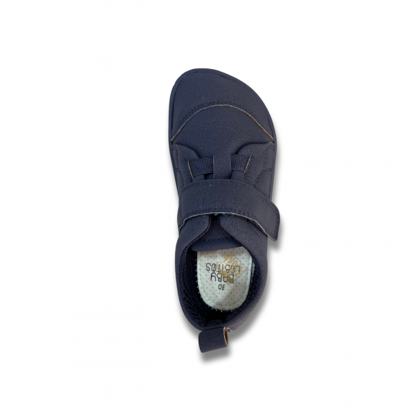 Zapatilla Compas - Baby Lobitos - Imagen 6