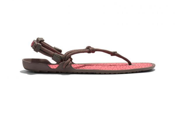 Sandalia Aqua Cloud - Xero Shoes - Imagen 2
