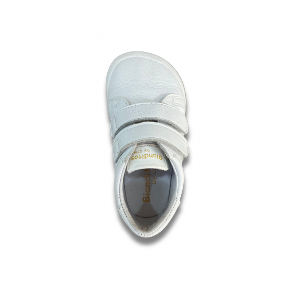 Zapatilla Londres - Blanditos - Imagen 4